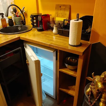 公寓 Ausros Vartai 维尔纽斯