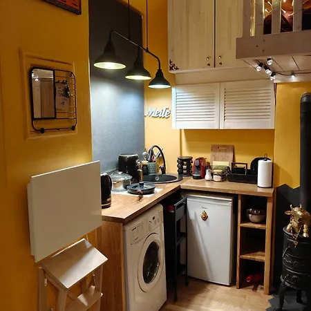 Ausros Vartai 公寓 维尔纽斯