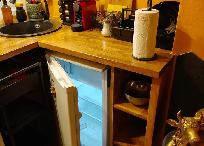 アパート Ausros Vartai ヴィリニュス