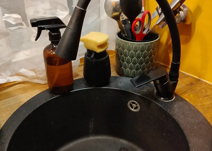 Ausros Vartai アパート