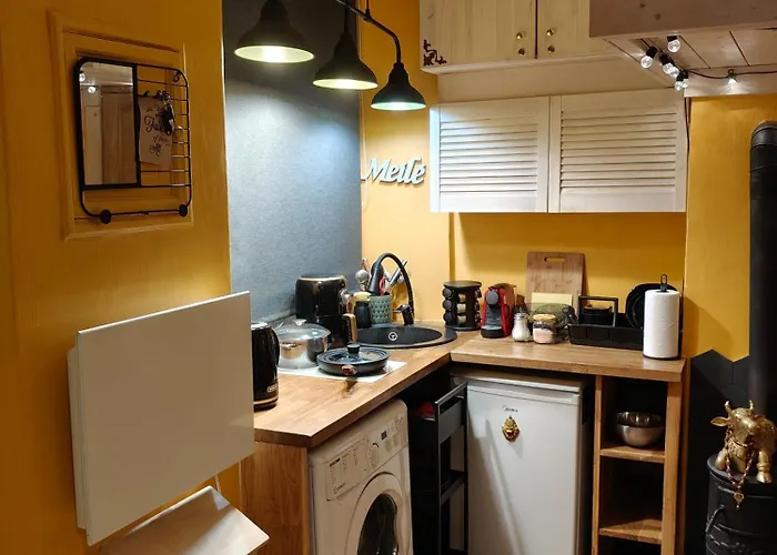 Ausros Vartai Butas Vilnius